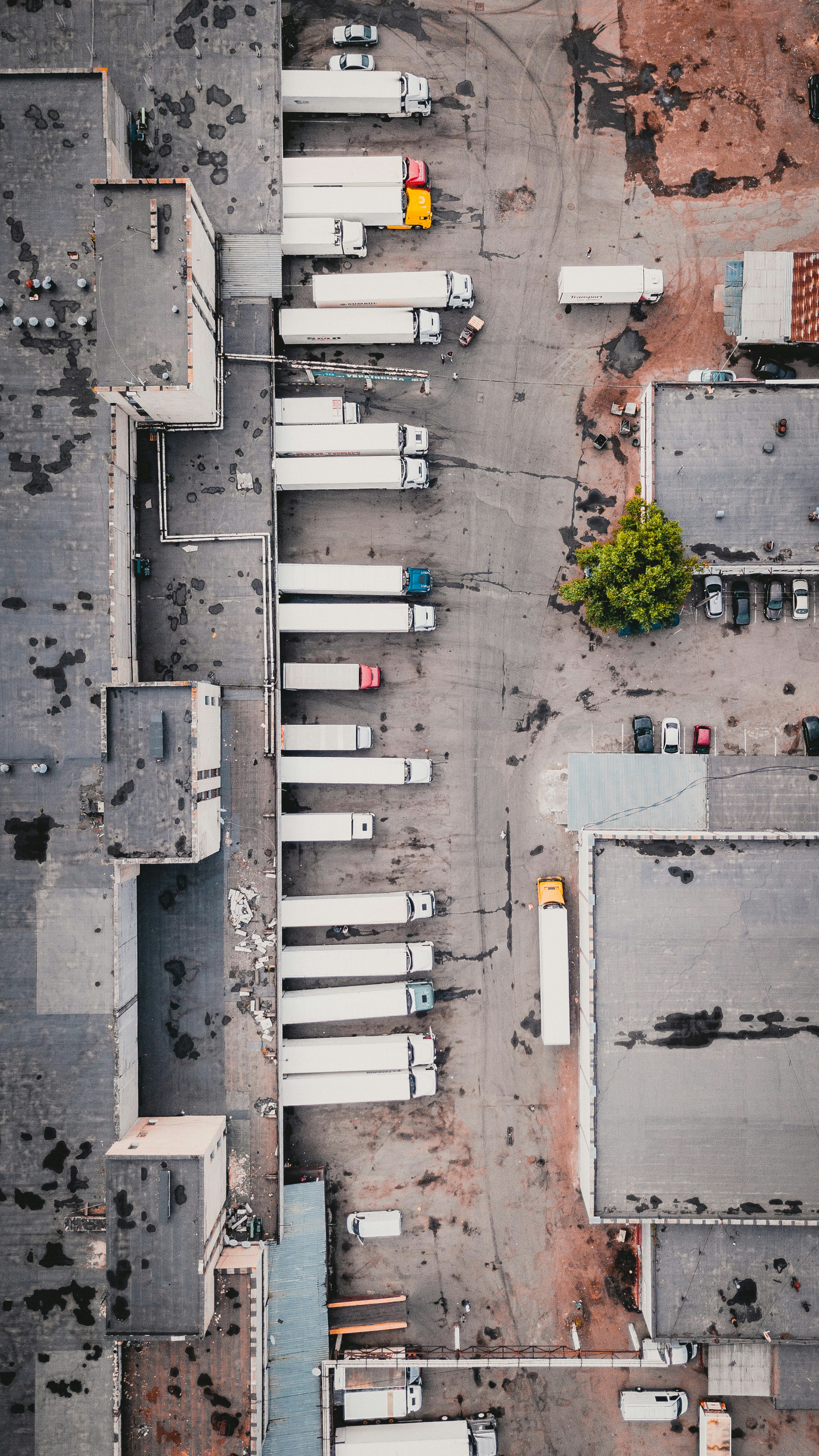 Construction Fleet Case Study